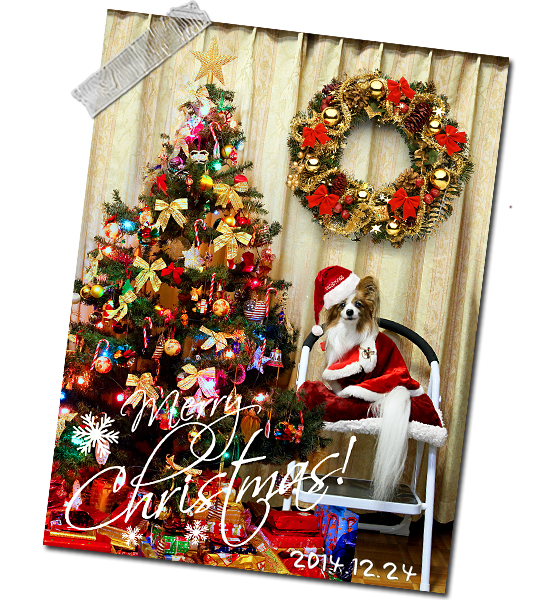 Merry Christmas 2014 ¡ú¡ù¡ú 01