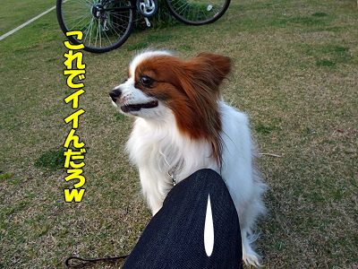 ¤ß¤ó¤Ê¤ª¤á¤Ç¤È¤¦¡ú°
