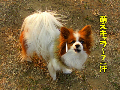 ¤ª¤Þ¤»¤Ê¥µ¥¶¥Ó¡¼®