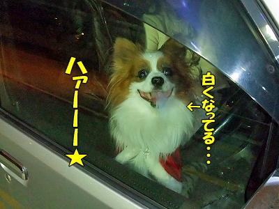 ¥¬¥½¥ê¥ó¥¹¥¿¥ó¥É¤Ë¤Æ¥