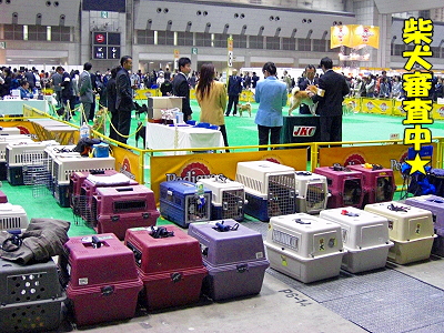 ¥¢¥¸¥¢¥¤¥ó¥¿¡¼2008¡Ê¸åÊÓ¡Ë24
