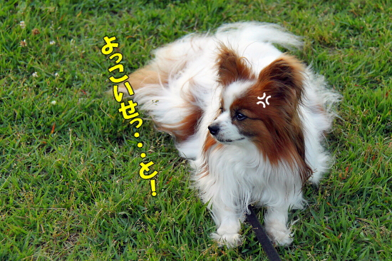 Â籫¤Ç¤¹¤¿¡£¡£¡¡06