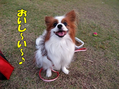 ¤ª¿þʬ¤±¡ú¦