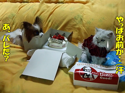 Happy Birthday HERMES¡¡2008¨