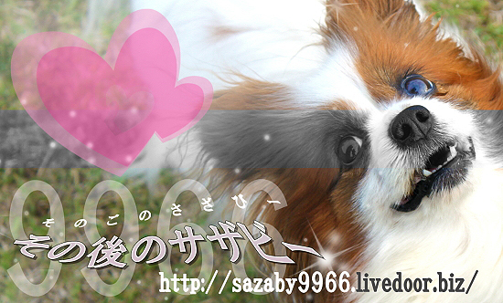 ̾»ÉÅöÁª¼Ô¡¢¥Ï¥Ô¥ç¡ª§