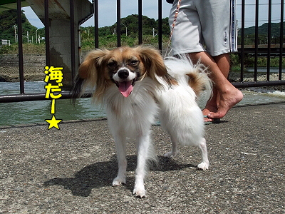 38ǯ²ñ⑧