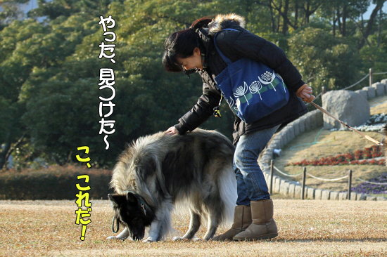 ¤â¤¦°ìÅÙ¡¢¥Ë¥³¥é¥¹¡¡22