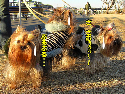 ¤á¤Ã¤Á¤ãËÌÉ÷orz¥