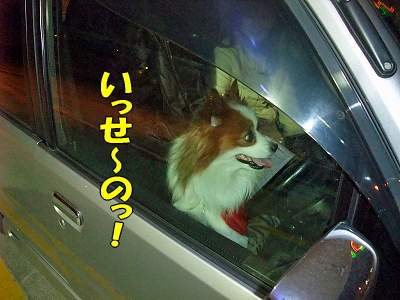 ¥¬¥½¥ê¥ó¥¹¥¿¥ó¥É¤Ë¤Æ¤