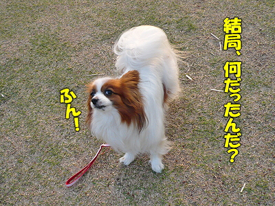 ET¥µ¥¶£÷¢