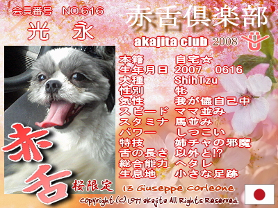 616-mitunaga-2008saku¶