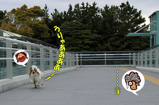 ¥µ¥¶¥Ó¡¼¡¢¥·¡¼¥µ¥¤¥É¡¦¥Ç¥Ã¥¤ËΩ¤Ä¡ª¡ª¡¡09