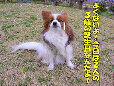 ºù¤ÎÌڤβ¼¤Ç¬
