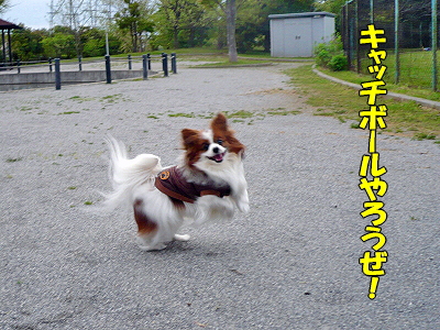 ï¤Î¤ª¤«¤²¡©¦