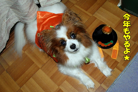 HAPPY¡úHALLOWEEN¥
