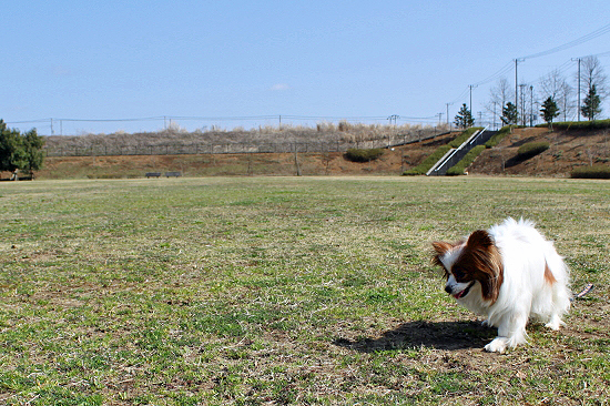 FAIR WIND¡