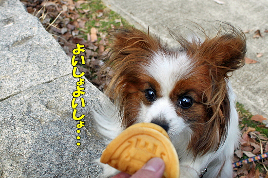 FAIR WIND±