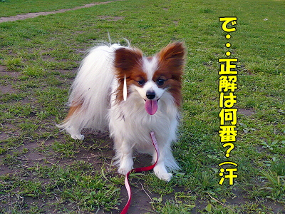 Àµ²ò¼Ô¿¿ô¡¦¡¦¡¦orz°