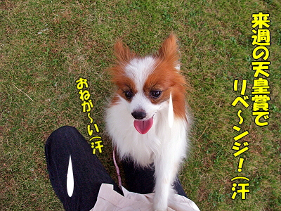 ½©ÀåÅöÁª¤ª¤á¤Ç¤È¡¼¡ª¥