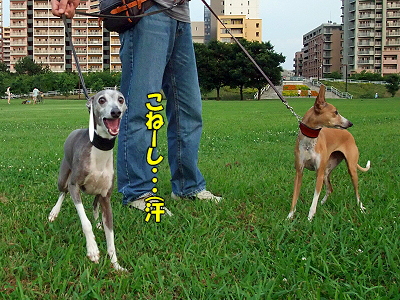 ¤½¤Î¥µ¥¶¡¦ÈÖ³°ÊÔ¬