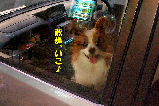 ¤Á¤ç¤Ó¤Ã¤È±ä´ü¨