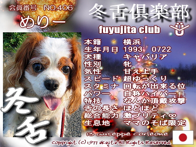 406-mery-fuyu