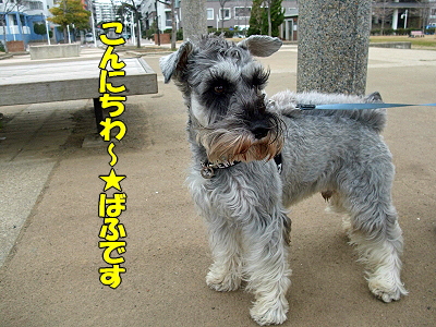 JOY¤È¶¦¤Ë¡¦¸åÊÔ¥