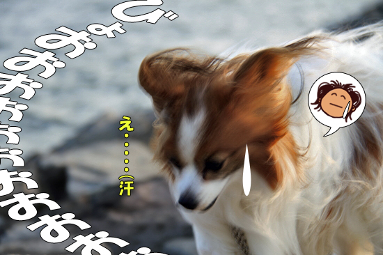 ¥µ¥¶¥Ó¡¼¡¢¥´¥ë¥´¥À¤ÎµÖ¤ËΩ¤Ä¡ª¡ª¡¦¡¦¡¦¤«¤â¡©¡¡06