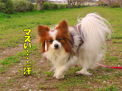 ºù»¶¤ë¡¦¡¦¡¦«