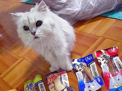 »ä¤ÎÂ繥ʪ¡ú§