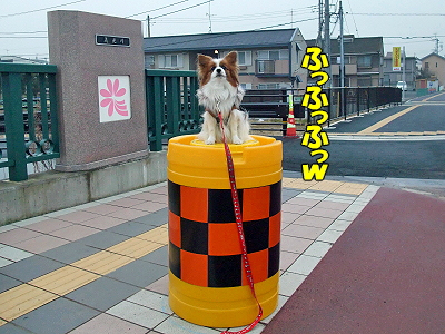 ¥µ¥¶¥Ó¡¼¡ú´Ø½ê§