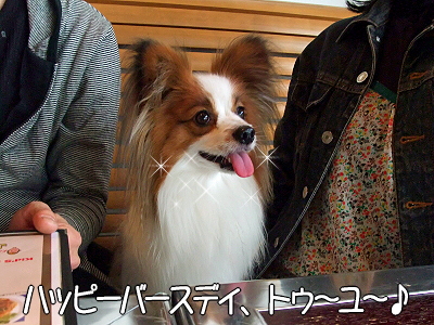 DOG GARDEN CAFE¯