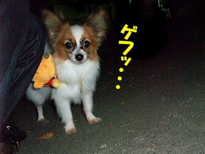 ¥Ó¥¬¥í¤È¿©»ö¢ö