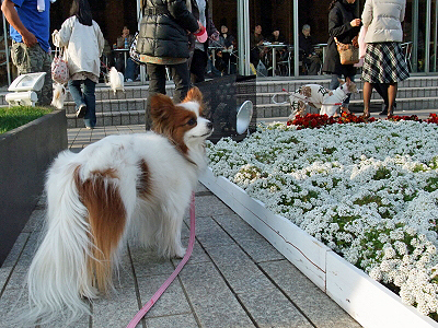 .:*:'¡¬¡ù.:*:'¡¬Sazaby's blog.:*:'¡¬¡ù.:*:'¡¬¬