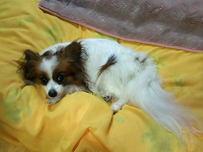 Î䢸ˣ