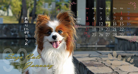 ¡Ú¥µ¥¶¥«¥ì2010¡ÛbetaÈǤ