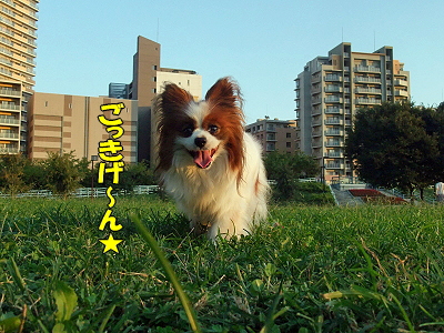 ¤ª¤«¤ï¤ê¡ú§