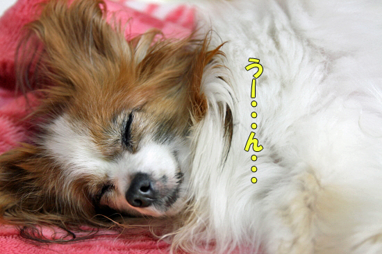 ¤ª¤Ï¤è¤¦¡¦¡¦¡¦¢ö¡¡02