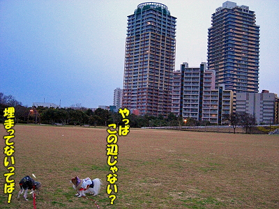 ¥¢¥í¥¢¥Þ¥Þ¤òõ¤»¡ª«
