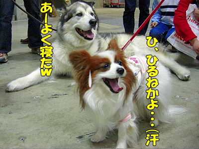 ¥¢¥¸¥¢¥¤¥ó¥¿¡¼2008¡Ê¸åÊӡ˳
