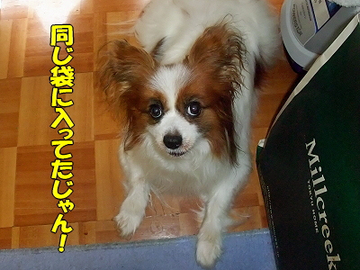 ±«¤ÎÄ«¡¦¡¦¡¦¬