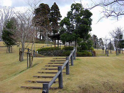 ǯ»Ï¥«¡¼¥É¥×¥ì¥¼¥ó¥È¡ú¦