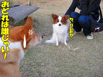 ¥Ñ¥¹¥¿¤¢¤é¤ï¤ë¡ª¥