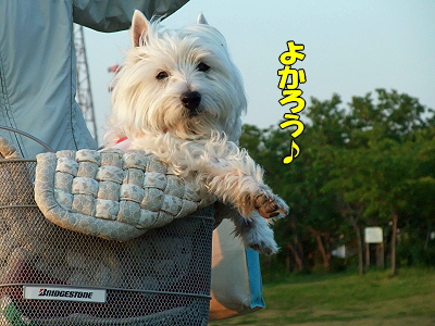 ¥Ý¥³¥¿¥óÍè½±¡ª¤