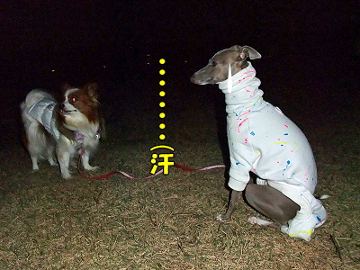 ËÌÉ÷¶¯É÷¡¦¡¦¡¦¡¦£