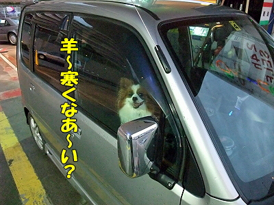 ¥¬¥½¥ê¥ó¥¹¥¿¥ó¥É¤Ë¤Æ¢