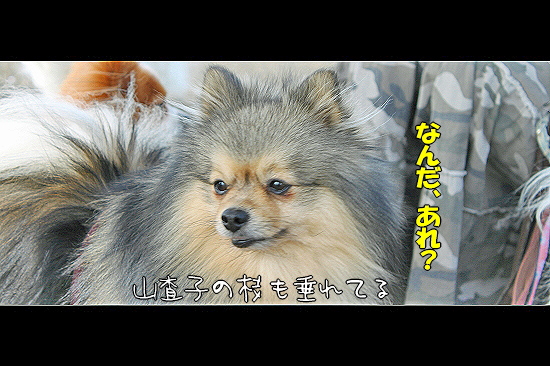 ¤µ¤è¤Ê¤é¡¢AKI¤µ¤ó¡¦¡¦¡¦¥Õ¥¡¥¤¥Ê¥ë¡ª23