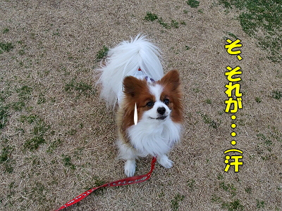 ¥À¥¤¥½¥ó¡ú£