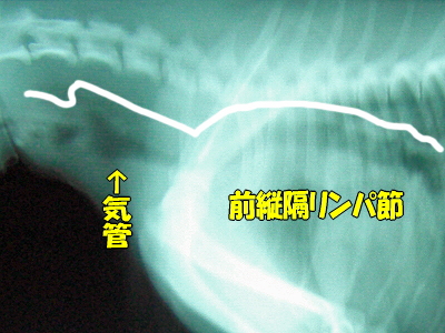 µ¤´É¤Î¾õÂÖ¥