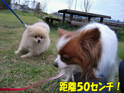 MISSION: IMPOSSIBLE¥